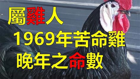 1969年屬雞|1969年的屬雞人：一生一世命運，神算！